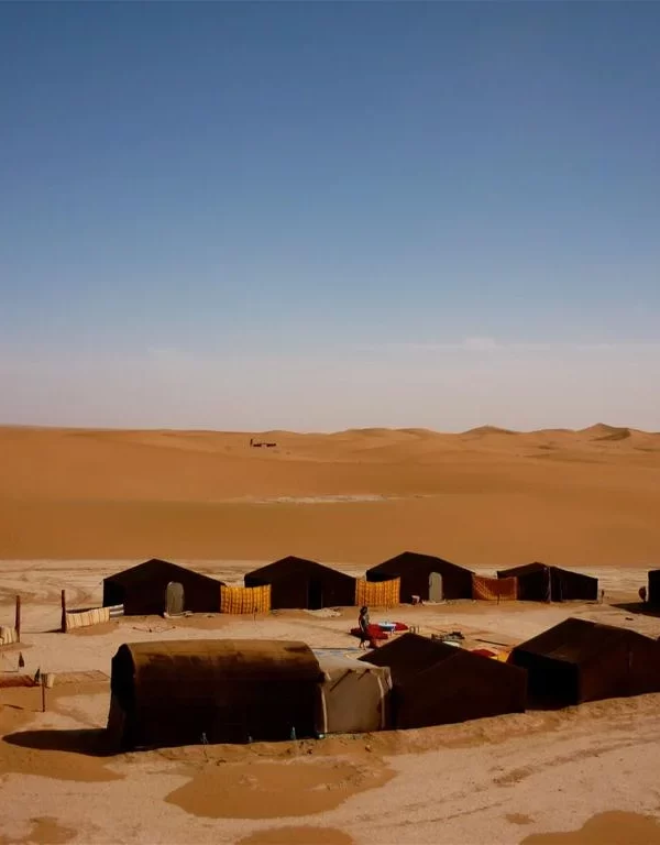 A group of tourists on a 2-Days Tour from Marrakech to zagora, exploring the vast sands of the Zagora Desert with camels silhouetted against the mesmerizing sunset.