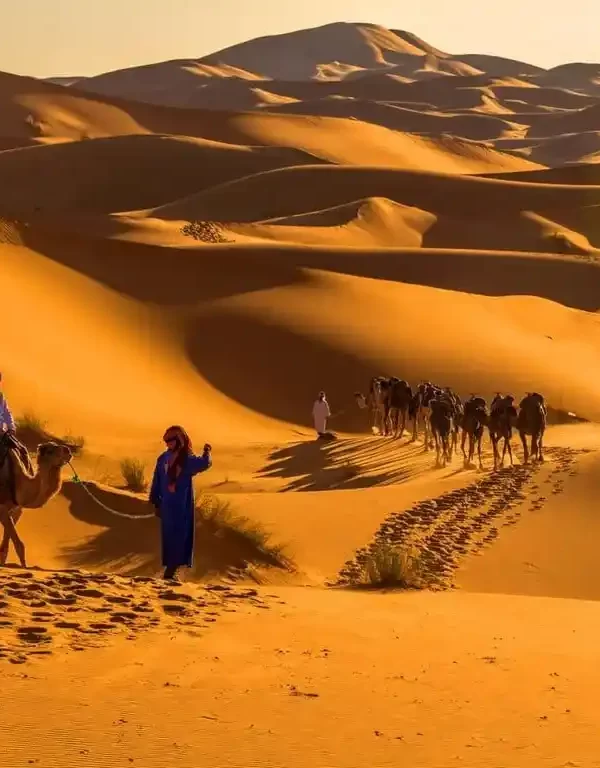 A group of travelers atop camels trek across the golden sand dunes of the Merzouga Desert, with the setting sun casting long shadows and painting the sky in warm hues, as part of a 3-Days Tour From Marrakech To Merzouga