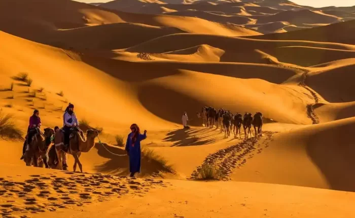 A group of travelers atop camels trek across the golden sand dunes of the Merzouga Desert, with the setting sun casting long shadows and painting the sky in warm hues, as part of a 3-day Morocco tour from Marrakech to merzouga sahara desert