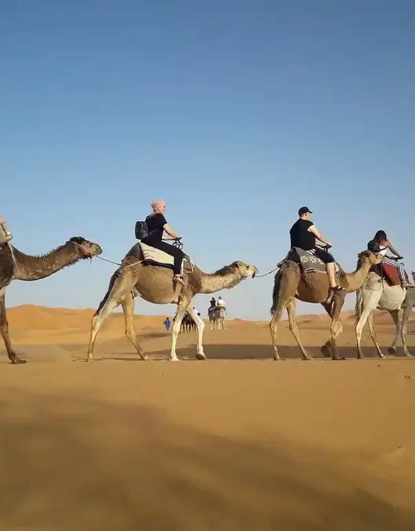 Image showcasing a timeless scene of the vast dunes in the Erg Chegaga Desert sahara during a 5-day tour from Marrakech to Zagora .