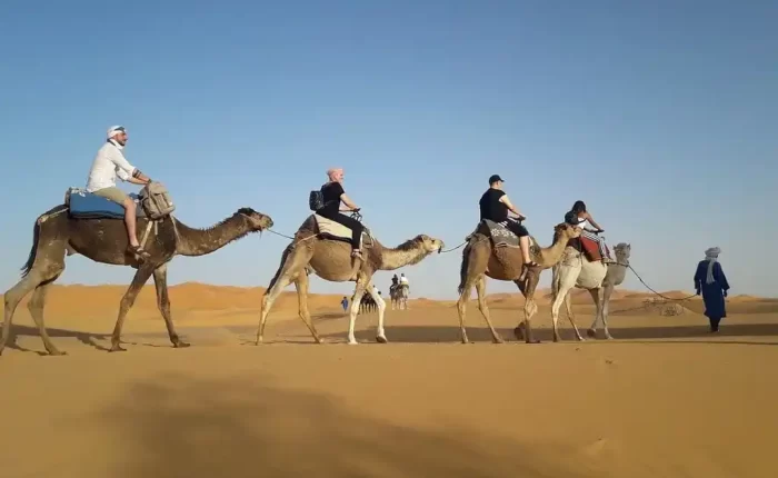 Image showcasing a timeless scene of the vast dunes in the Erg Chegaga Desert sahara during a 5-day tour from Marrakech to Zagora .