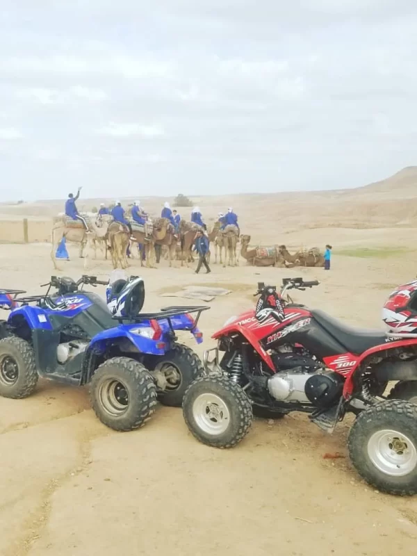 A group of adventurers partaking in a camel ride across the undulating dunes of the Agafay Desert, with the Atlas Mountains faintly visible in the distance. In the foreground, parked quad bikes and buggies hint at the action-packed ride to follow