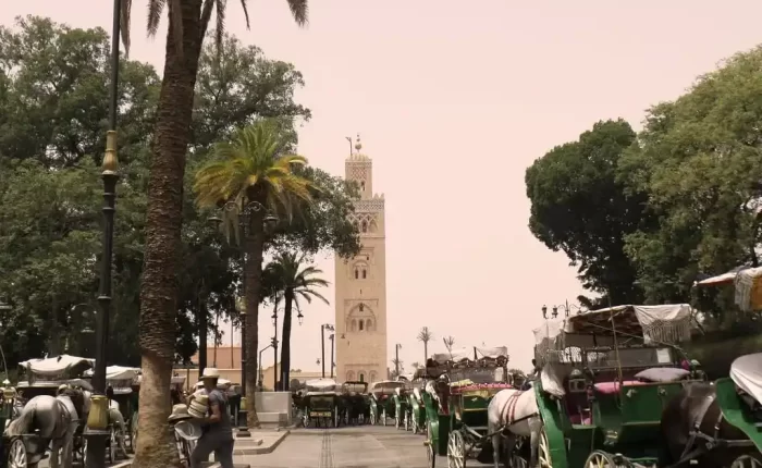 Horse-drawn carriages lined up on the vibrant streets around Jemaa el-Fnaa, ready to offer passengers a unique and picturesque tour through Marrakech