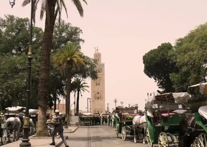 Horse-drawn carriages lined up on the vibrant streets around Jemaa el-Fnaa, ready to offer passengers a unique and picturesque City Sightseeing Marrakech.