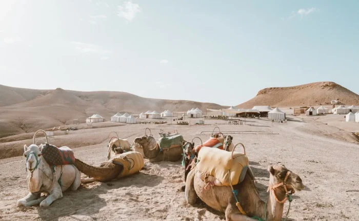 Full Day Trip Activities From Marrakech To Agafay