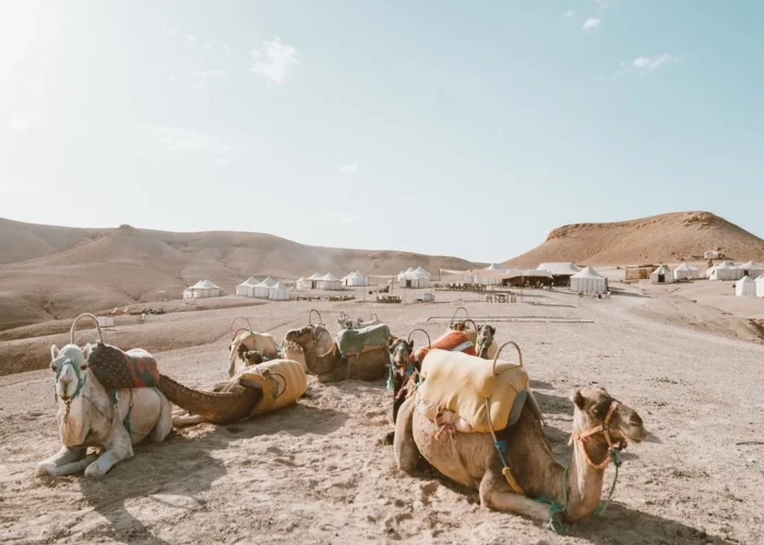 Full Day Trip Activities From Marrakech To Agafay