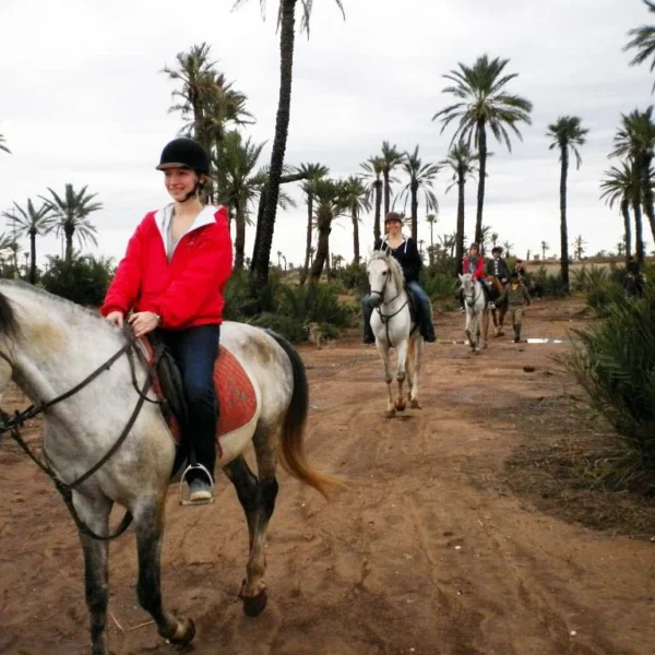 Half-Day Horseback Riding Tour In Marrakech