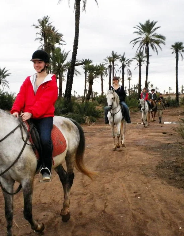Half-Day Horseback Riding Tour In Marrakech