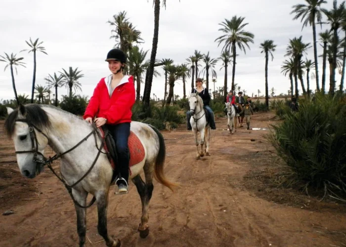 Half-Day Horseback Riding Tour In Marrakech