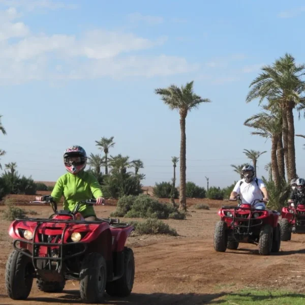 Best Half-day Quad Biking Tour At Marrakech Palm Grove