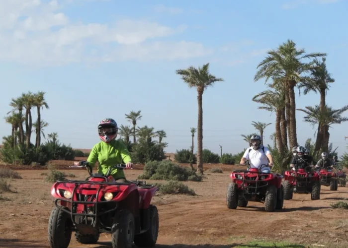 Best Half-day Quad Biking Tour At Marrakech Palm Grove