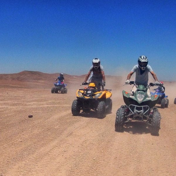 Thrilling Desert Experience: Camel & Quad