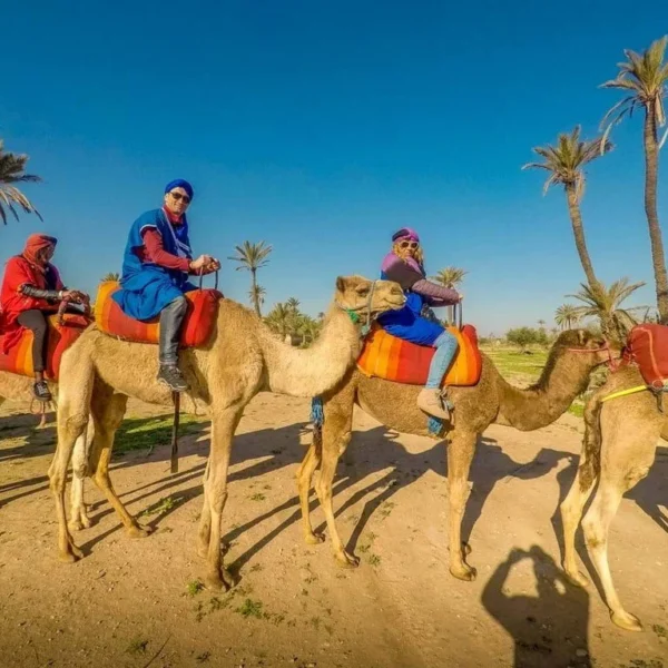 Sunset Camel Ride Tour In Marrakech Palm