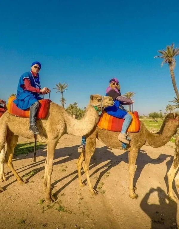 Sunset Camel Ride Tour In Marrakech Palm