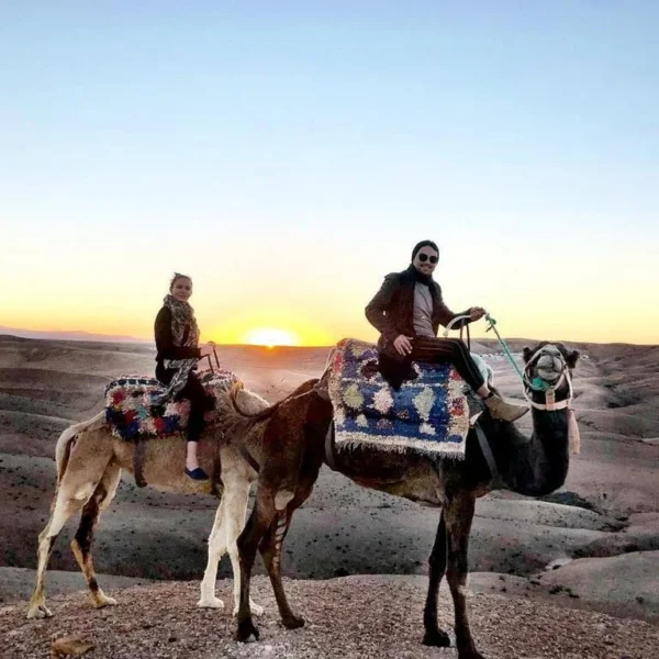 Sunset Camel Ride With Dinner At Agafay Desert