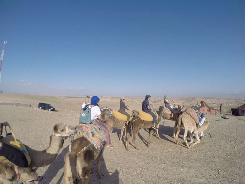 Camel Ride Adventure in Agafay Desert