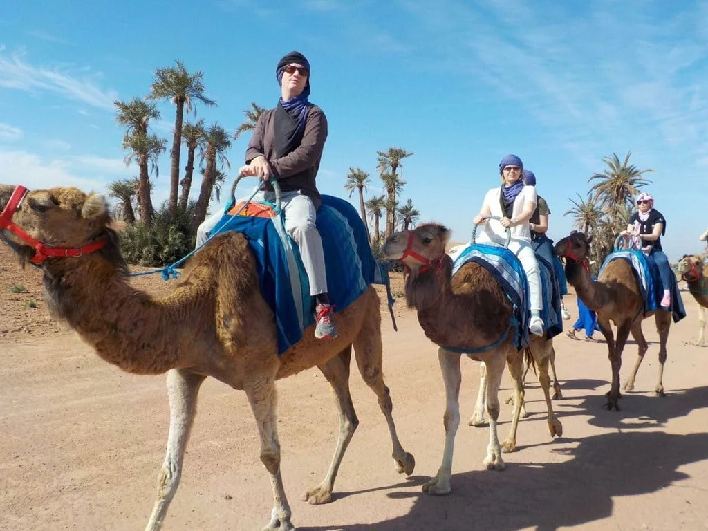 Capture the Adventure: Camel Trekking in Marrakech