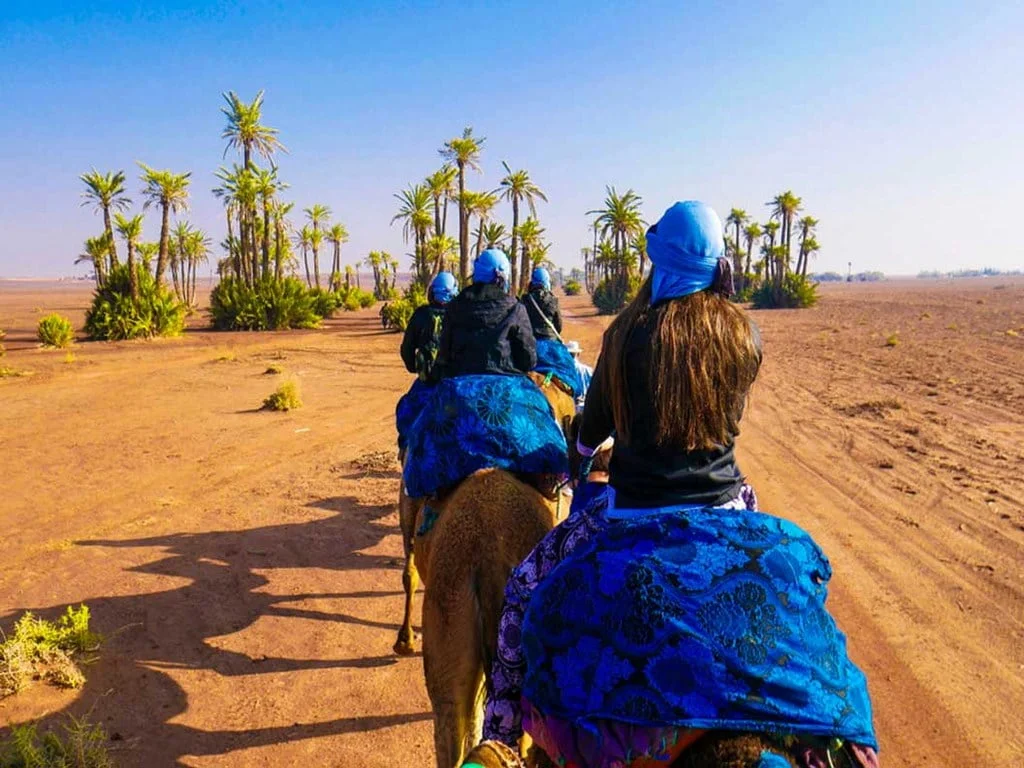 Your Guide to Camel Trekking Excursions in Marrakech