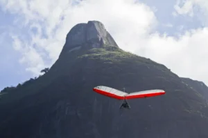 The Ultimate Thrill: Exploring the Best Skydiving Companies in Your Area 2 A tandem skydiving duo leaping out of an airplane, with breathtaking views of the landscape below.