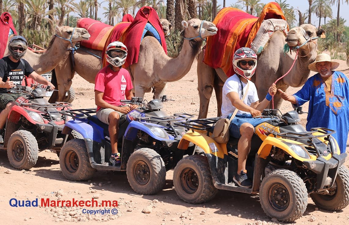 balade-en-quad-dromadaire-a-la-palmeraie-de-marrakech1327320432.jpg Capture the Thrill of Marrakech Quad Biking